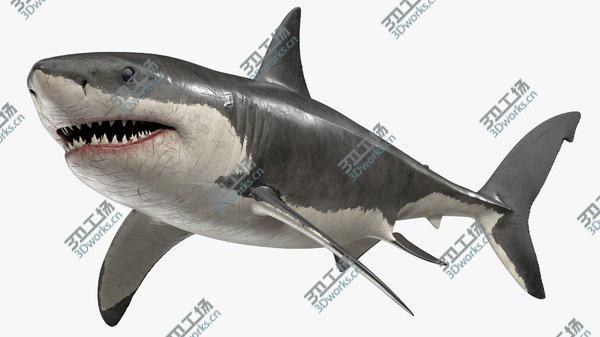 images/goods_img/20210312/Great White Shark Rigged 3D/1.jpg